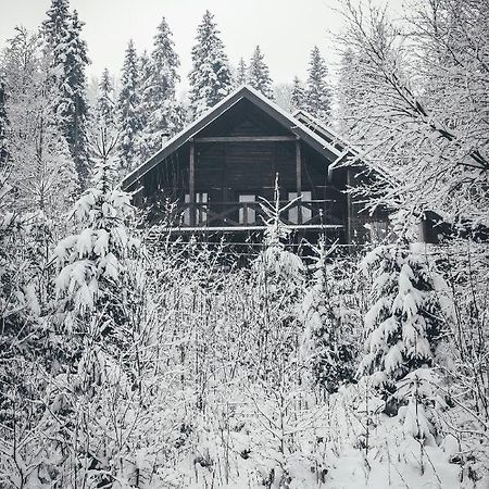 Chalet Shepit Karpat Bukovel Ngoại thất bức ảnh