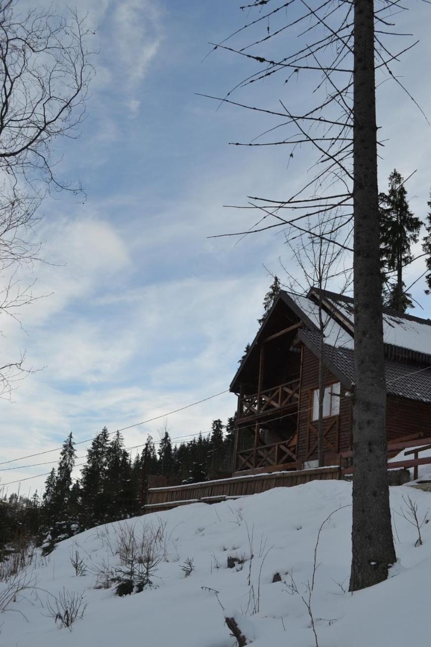 Chalet Shepit Karpat Bukovel Ngoại thất bức ảnh