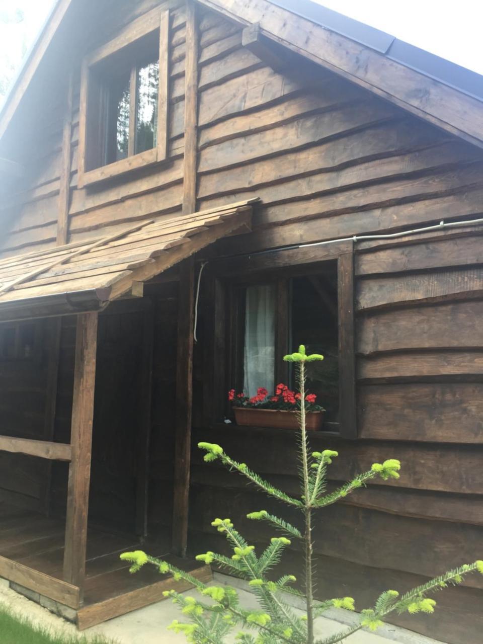 Chalet Shepit Karpat Bukovel Ngoại thất bức ảnh