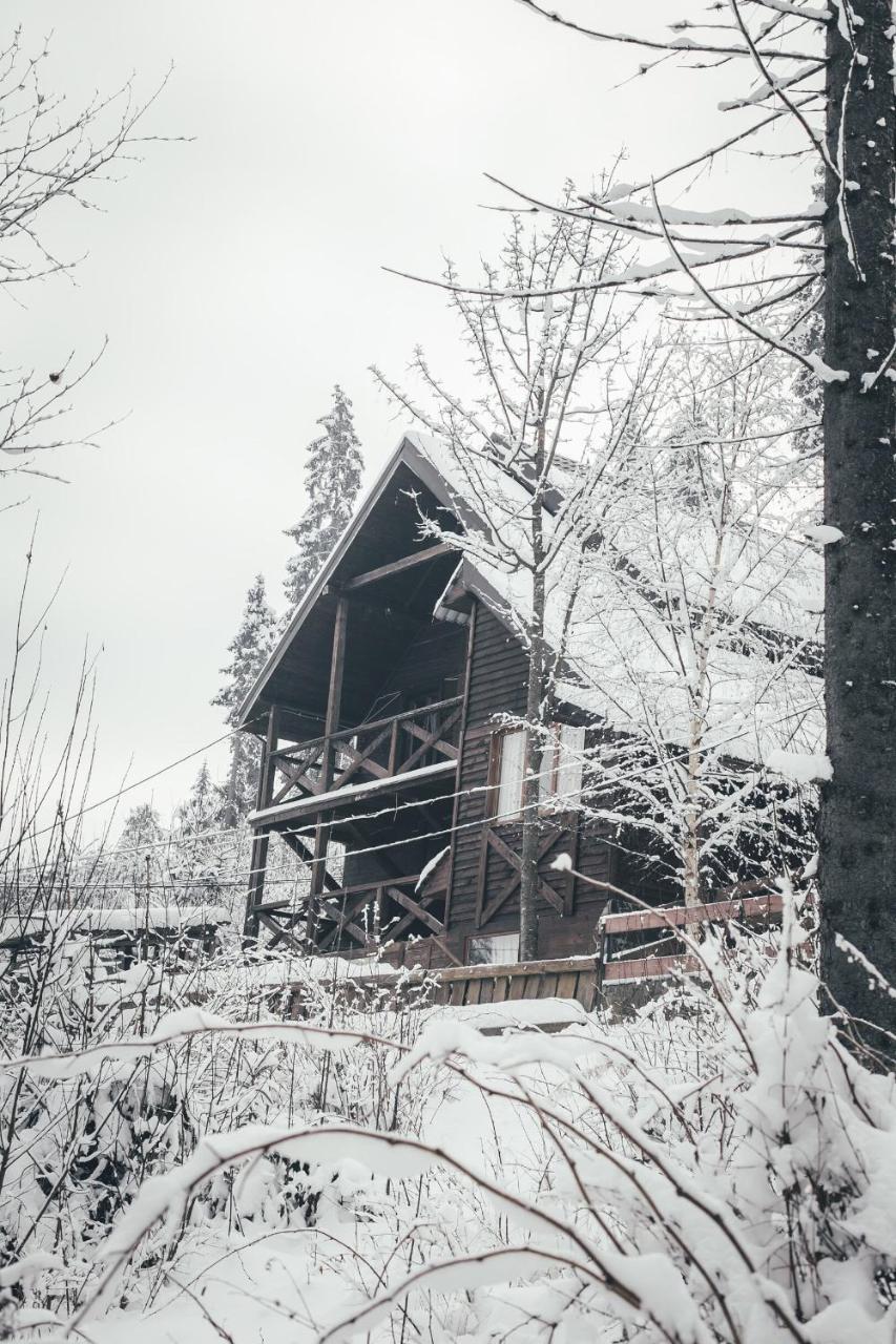 Chalet Shepit Karpat Bukovel Ngoại thất bức ảnh